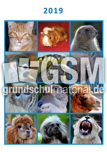 Tier_Kalender_2019_6.pdf